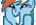 :ranbowdash: