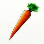 CarrotPotatoe
