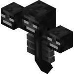 Mr.Wither