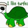 turtle10